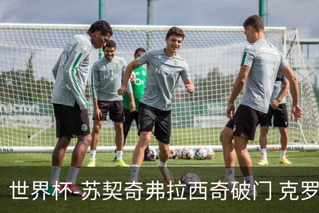 世界杯-苏契奇弗拉西奇破门 克罗地亚2-1加纳小组第二