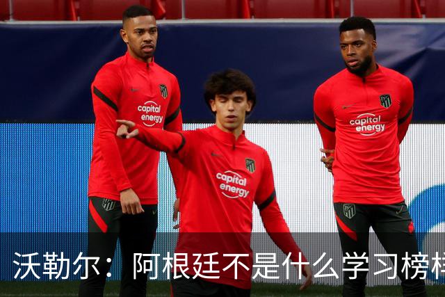 沃勒尔：阿根廷不是什么学习榜样，德国应该学西班牙和英格兰