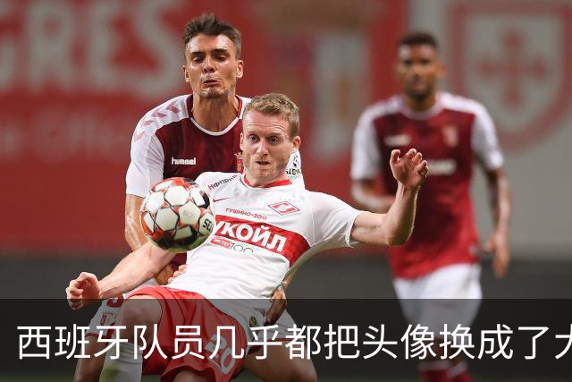 西班牙队员几乎都把头像换成了大力神杯照片，除了一位中二小孩